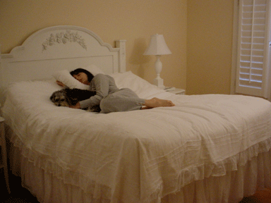 luxury adjustable bed sleep systems best quality