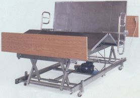 kings pride 1000 adjustable hospital beds mattress