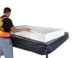 Phoenix Natural Mattresses are Native to the Amazon Rainforest Hevea Brasiliensis tree seed
